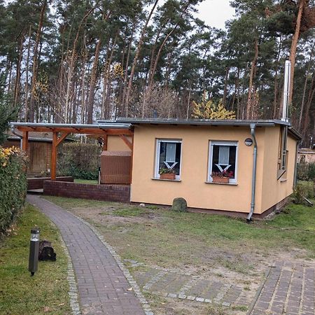 Spreewaldhaeuser Golinski Mit Kamin Am Neuendorfer See Alt Schadow المظهر الخارجي الصورة