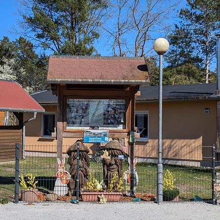 Spreewaldhaeuser Golinski Mit Kamin Am Neuendorfer See Alt Schadow المظهر الخارجي الصورة