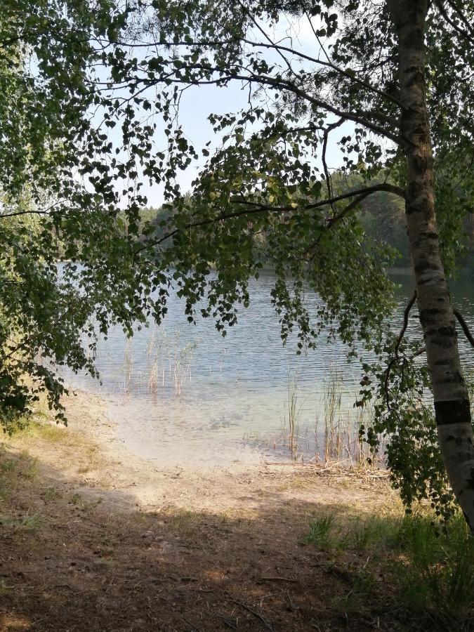 Spreewaldhaeuser Golinski Mit Kamin Am Neuendorfer See Alt Schadow المظهر الخارجي الصورة