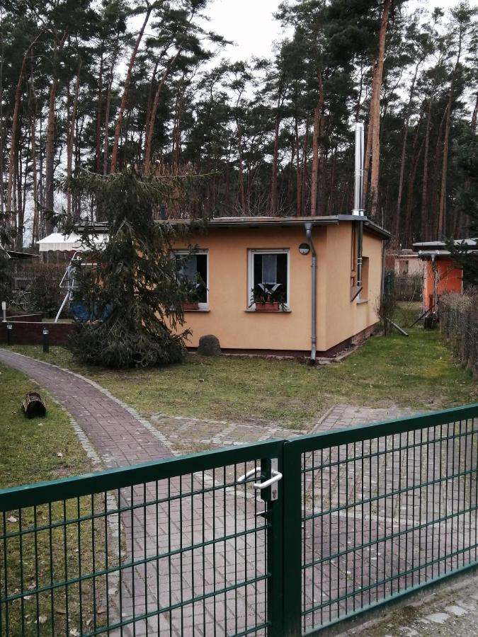 Spreewaldhaeuser Golinski Mit Kamin Am Neuendorfer See Alt Schadow المظهر الخارجي الصورة
